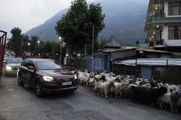 Audi Great India quattro Drive 3 photo gallery  